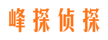 武定峰探私家侦探公司